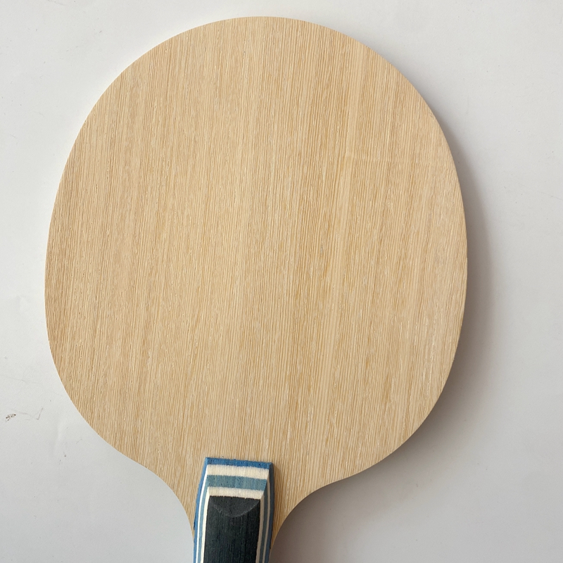 Lemuria VIS Carbon Fiber Table - Table Tennis Xu Xin 评论和价格