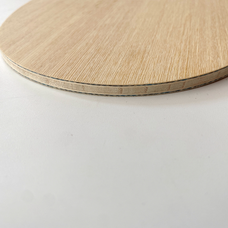 Lemuria VIS Carbon Fiber Table - Table Tennis Xu Xin 评论和价格