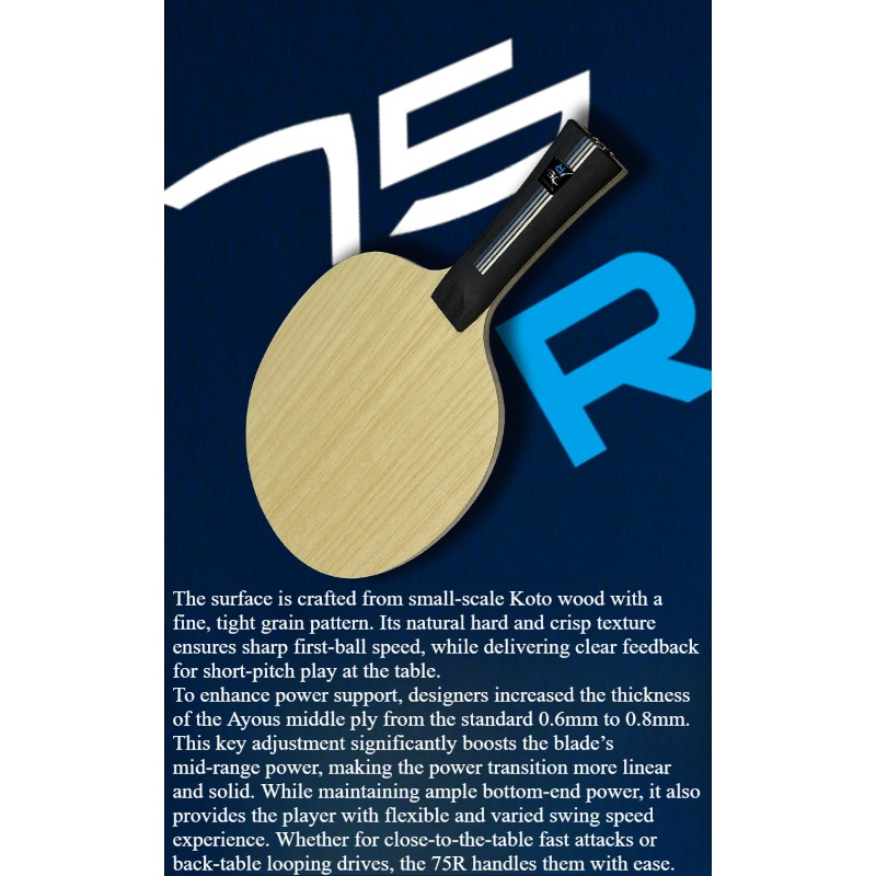 SANWEI 75R 5+2 Outer H-GLC Tab - Table Tennis Blade 评论和价格