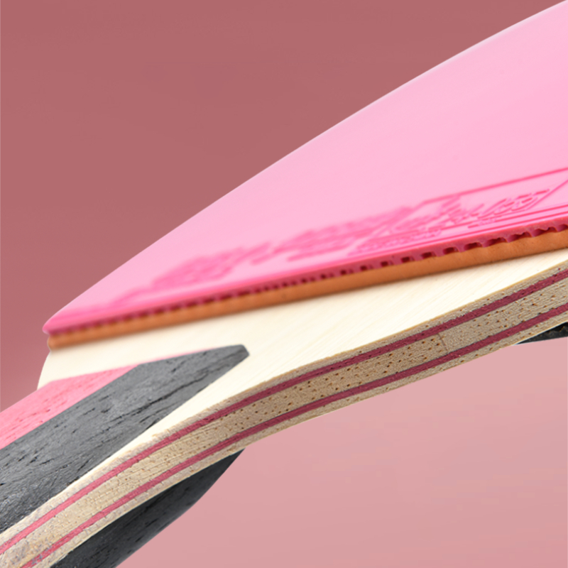DHS 6 Star Table Tennis Racket - Table Tennis World 评论和价格
